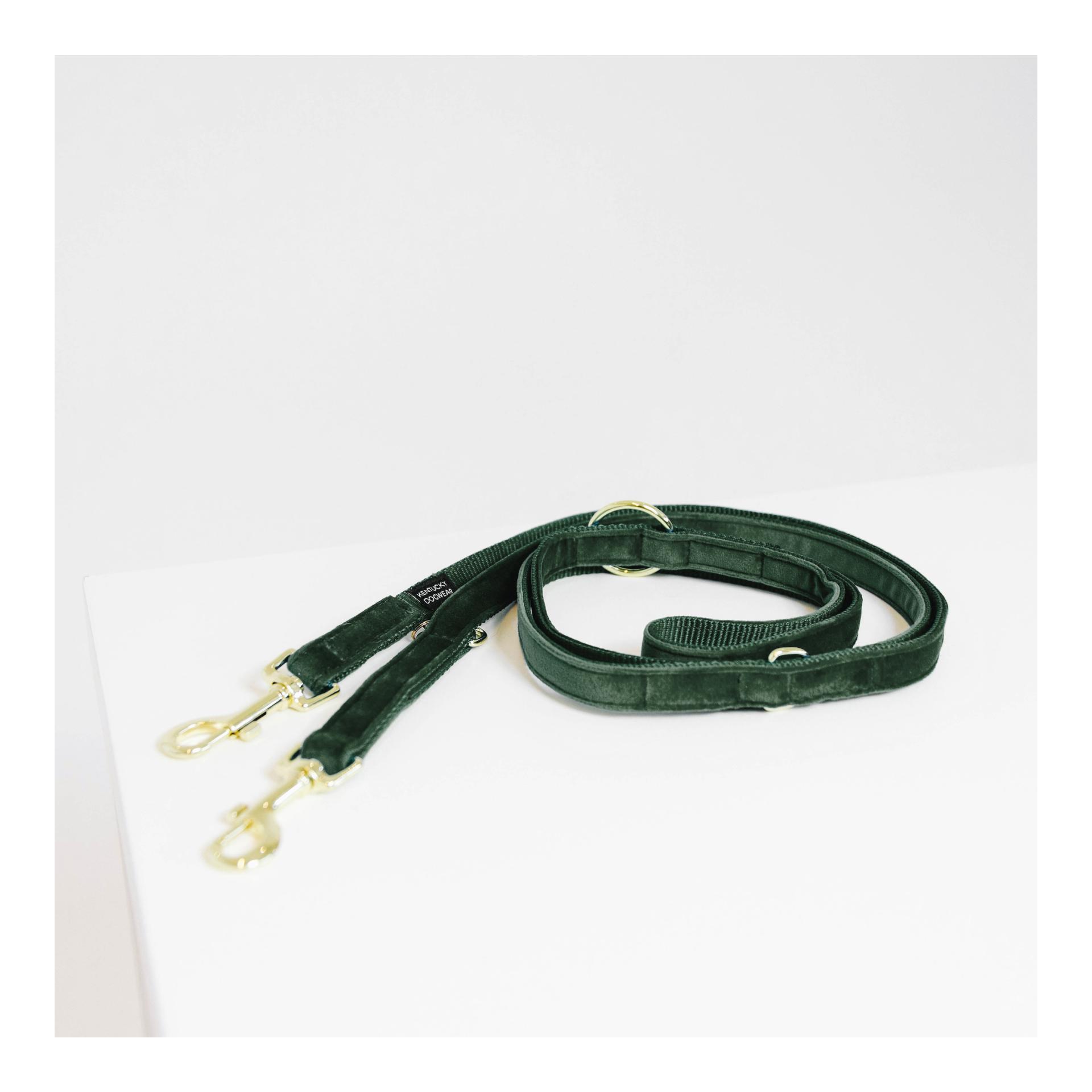 Image of Kentucky Dogwear Hundeleine Velvet - Pine Green - bei myluckydog.ch