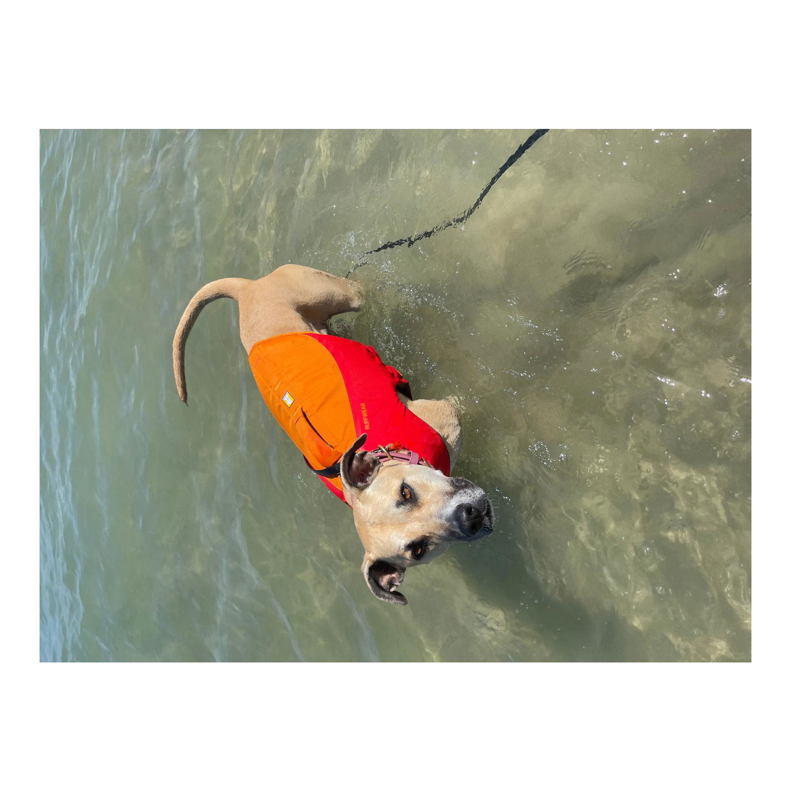 Ruffwear Float Coat Hundeschwimmweste red sumac