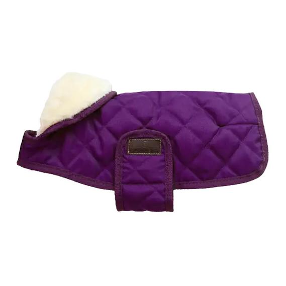 Image of Kentucky Dogwear Hundemantel Original - royal purple bei myluckydog.ch