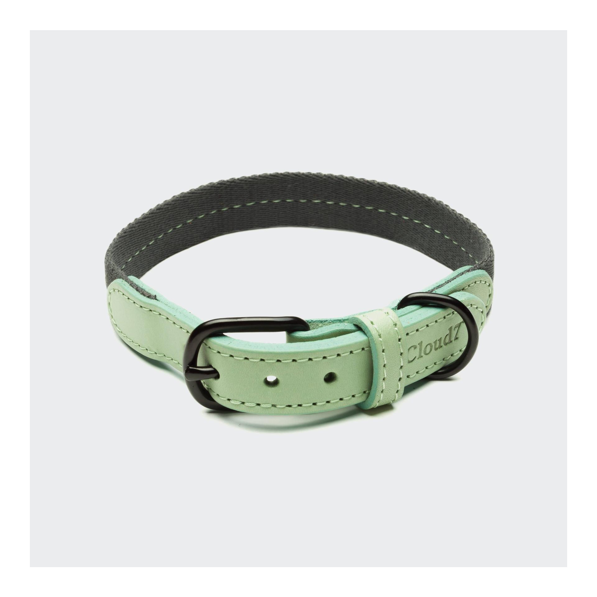 Image of Cloud 7 Hundehalsband Madeira - Mint - bei myluckydog.ch