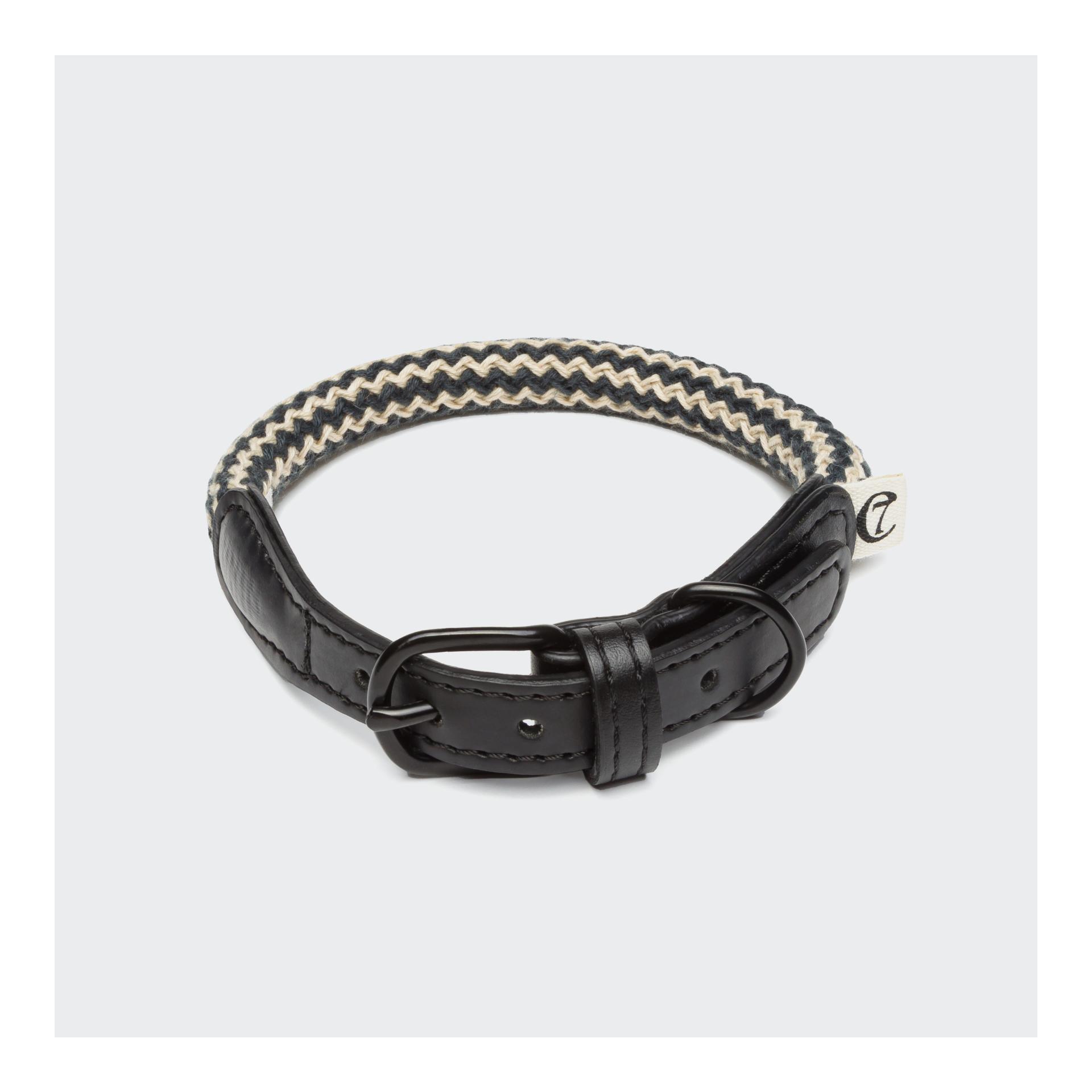 Image of Cloud 7 Hundehalsband Mauerpark - Zickzack Schwarz - bei myluckydog.ch