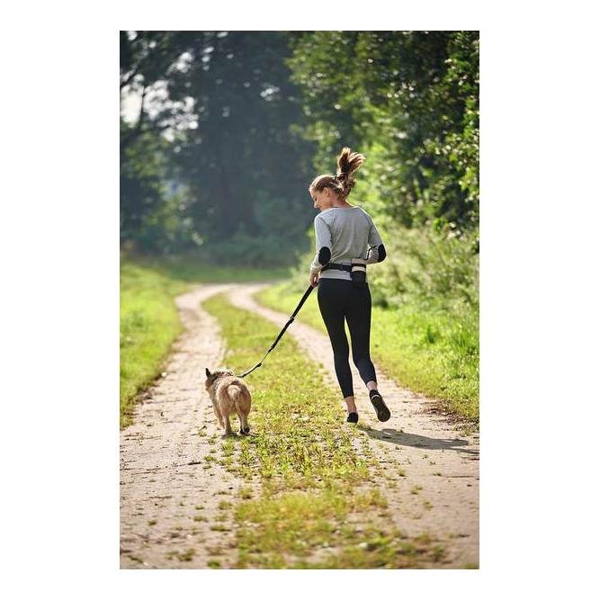 Ceinture de jogging avec laisse pour chien