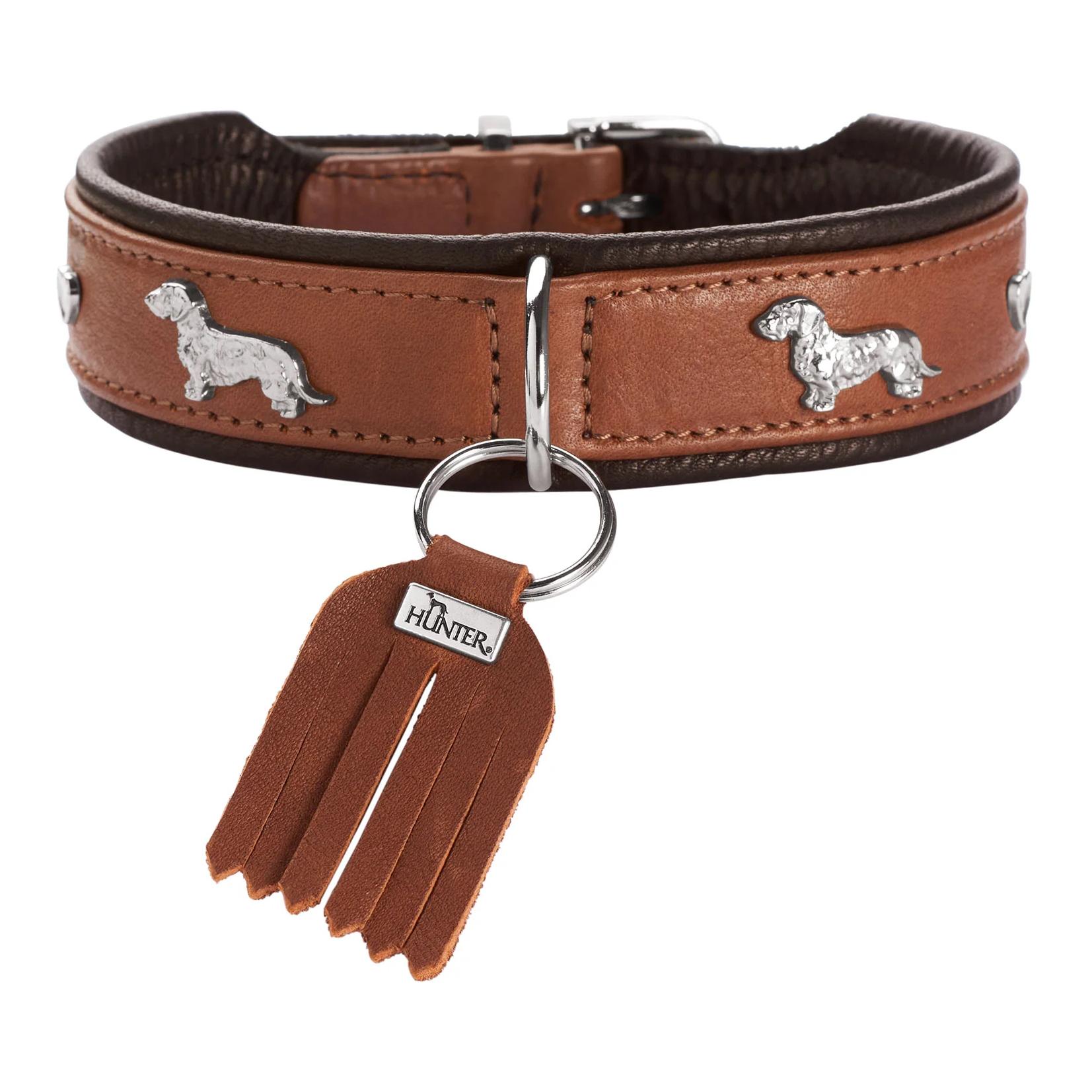 Image of Hunter Dackel Halsband München - Cognac - bei myluckydog.ch