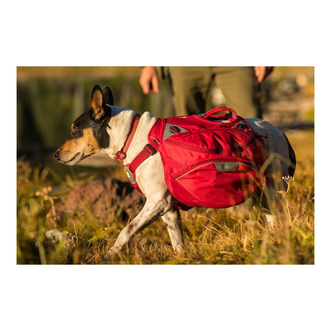 ruffwear palisades pack hunderucksack