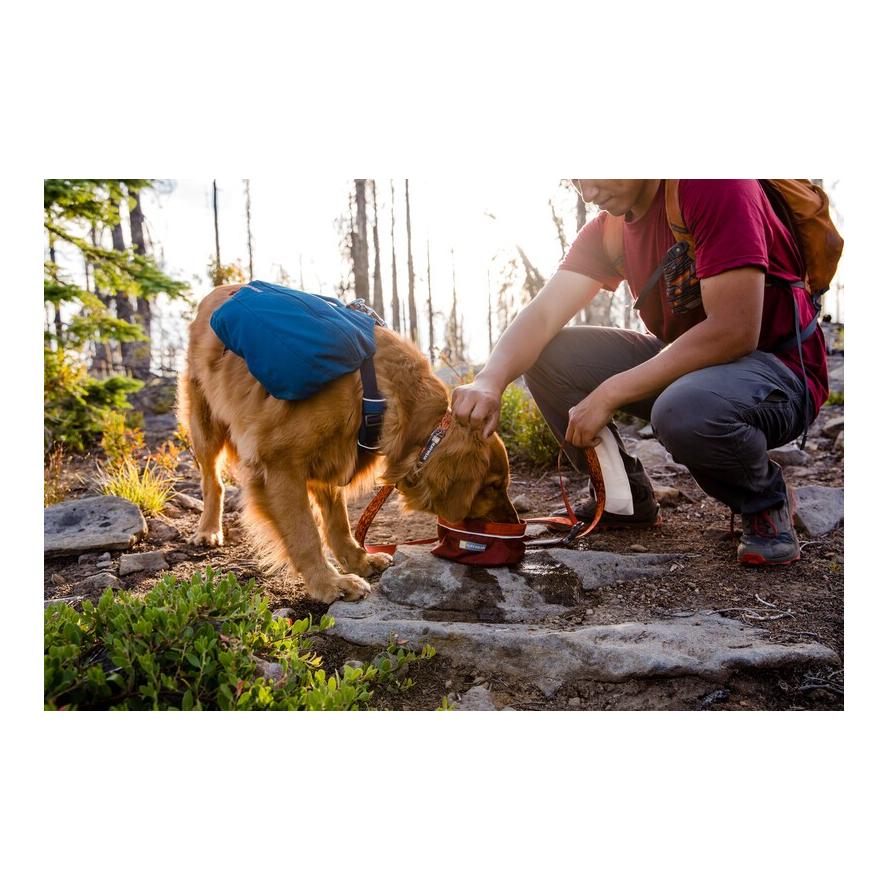 Ruffwear Front Range Day Pack Hunderucksack blue moon