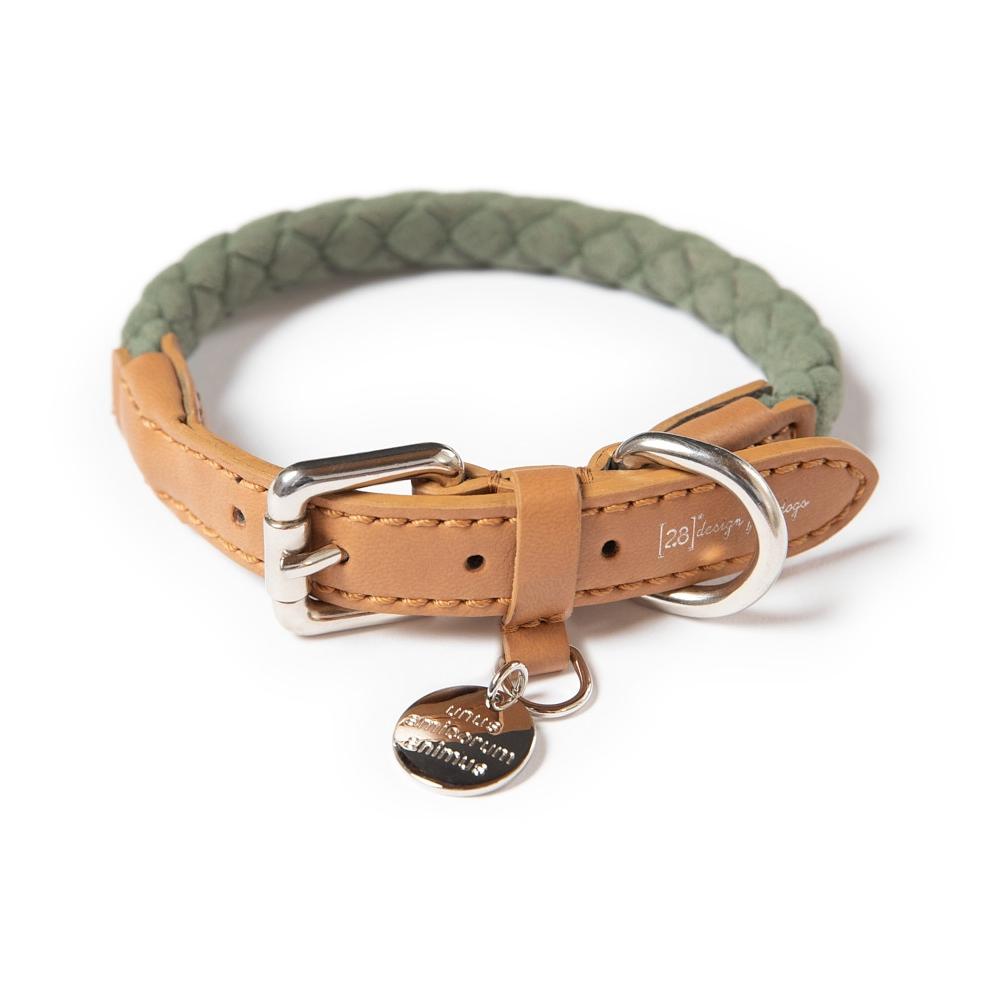 Image of 2.8 DuePuntoOtto Hundehalsband FERDINANDO - Musk - bei myluckydog.ch