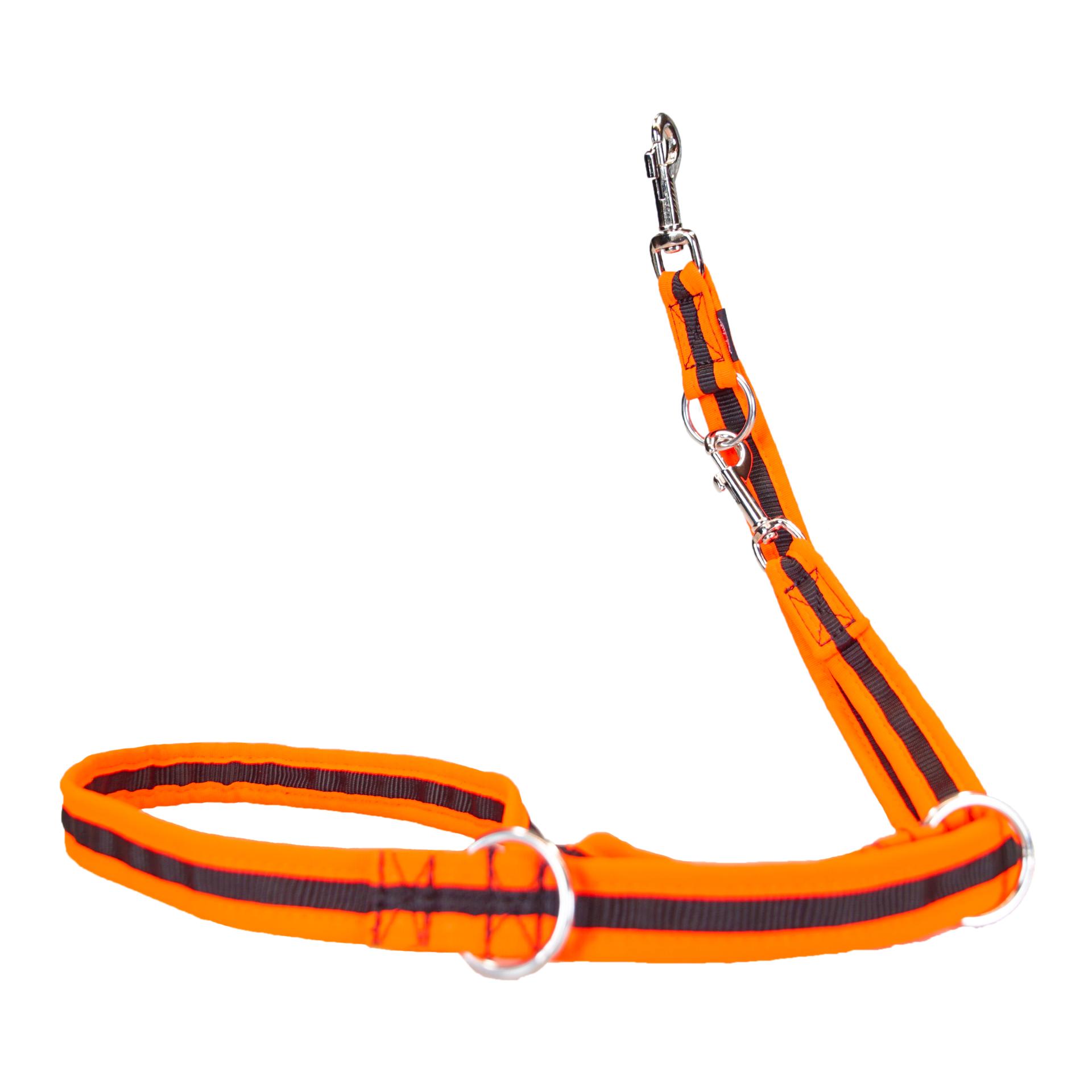 Image of Beat Grossenbacher Hundeleine eingefasst - Orange - bei myluckydog.ch