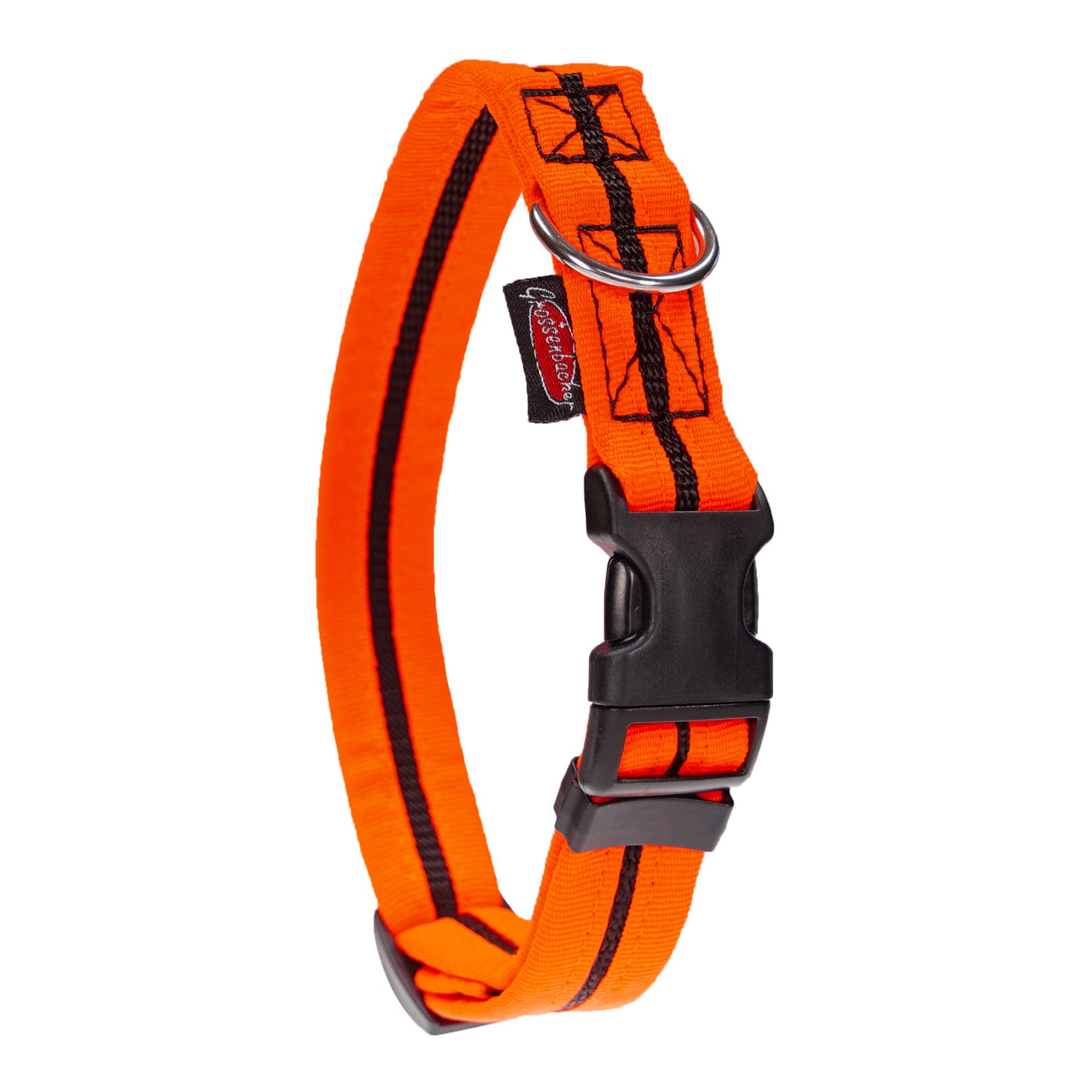 Image of Beat Grossenbacher Halsband eingefasst, direkt - Orange - bei myluckydog.ch