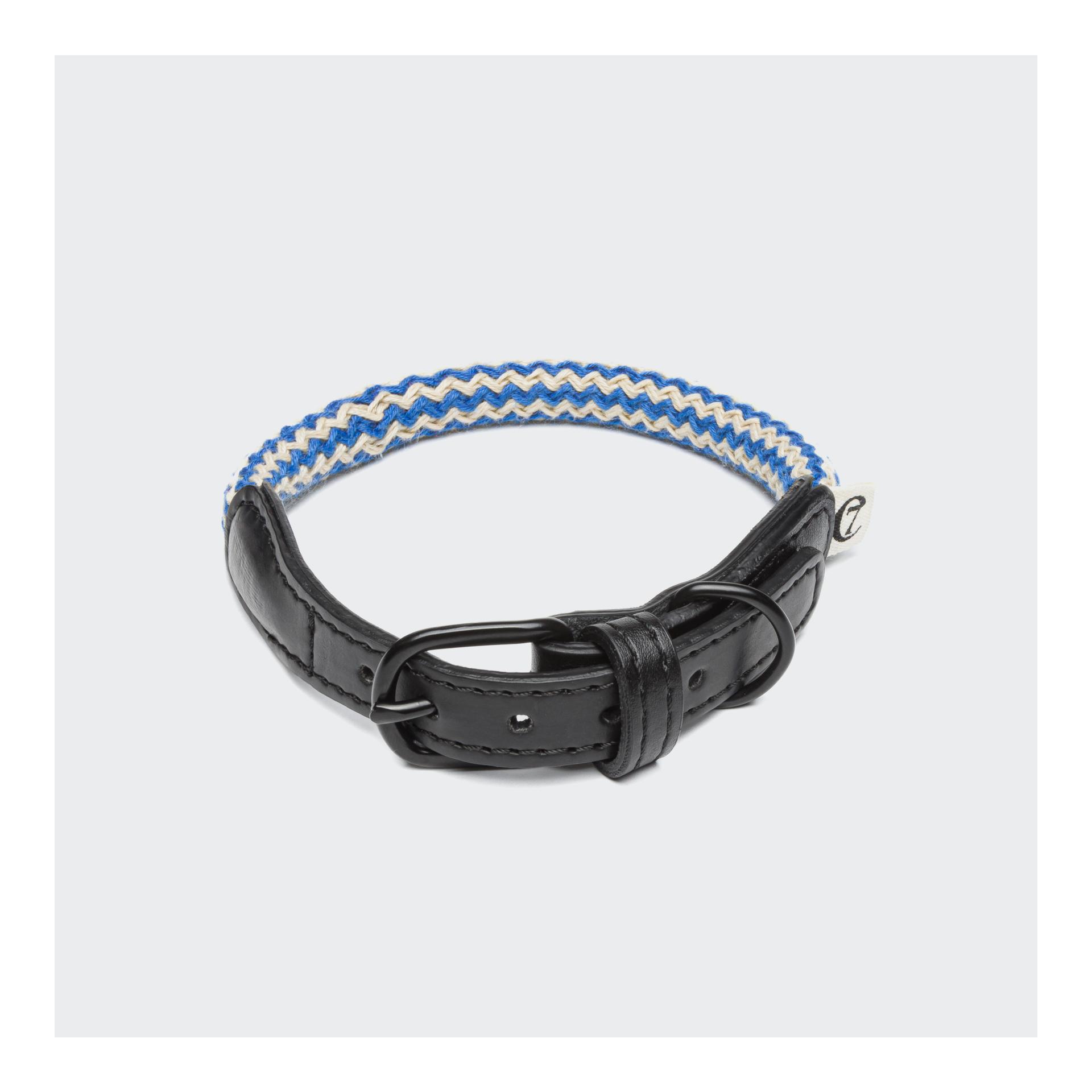 Image of Cloud 7 Hundehalsband Mauerpark - Zickzack Blau - bei myluckydog.ch