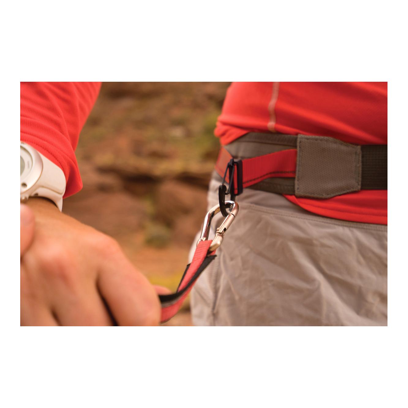 k9 excursion running belt