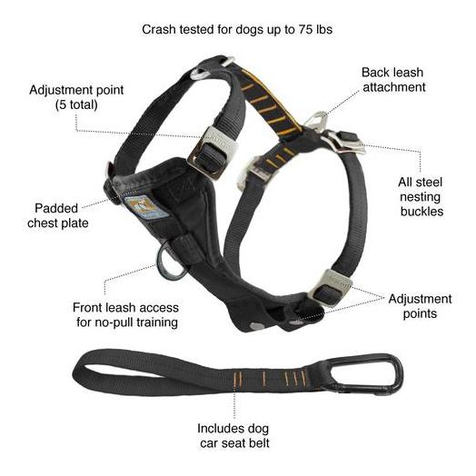 Ceinture 2024 smart fit