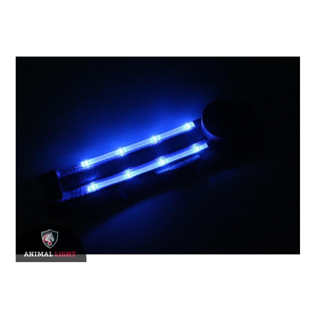 Image of Animal Light Leucht - Hundegeschirr "Flex" - blau - Schwarz - bei myluckydog.ch