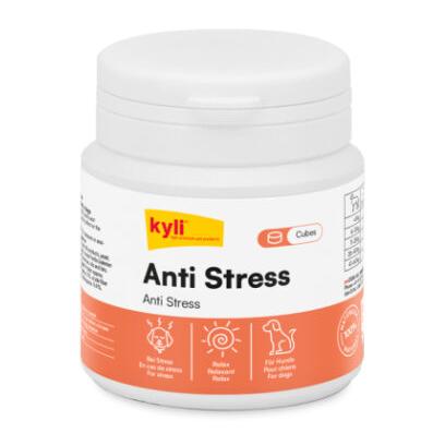 Image of Kyli Anti Stress Cubes - Natur - bei myluckydog.ch