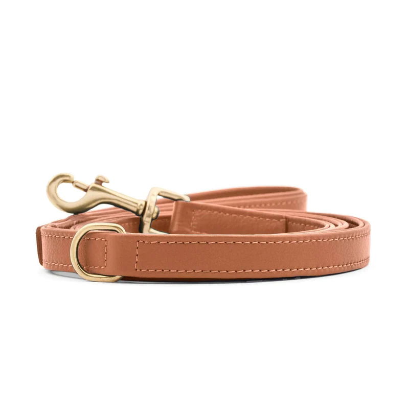 Image of William Walker Hundeleine Plain - Caramel - bei myluckydog.ch