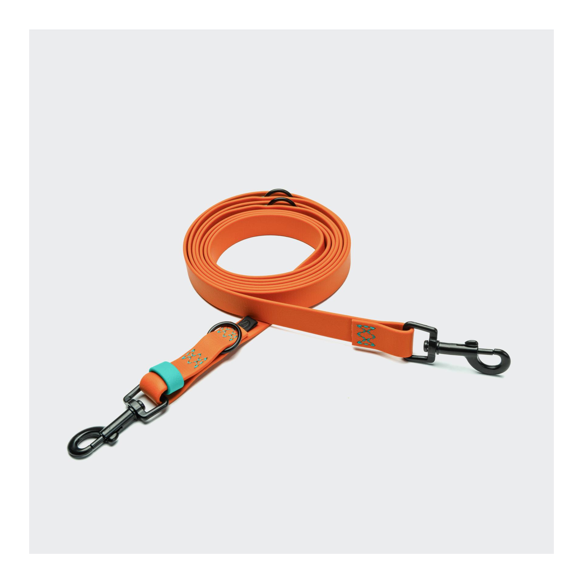 Image of Cloud 7 Hundeleine Ipanema - Orange / Aqua - bei myluckydog.ch