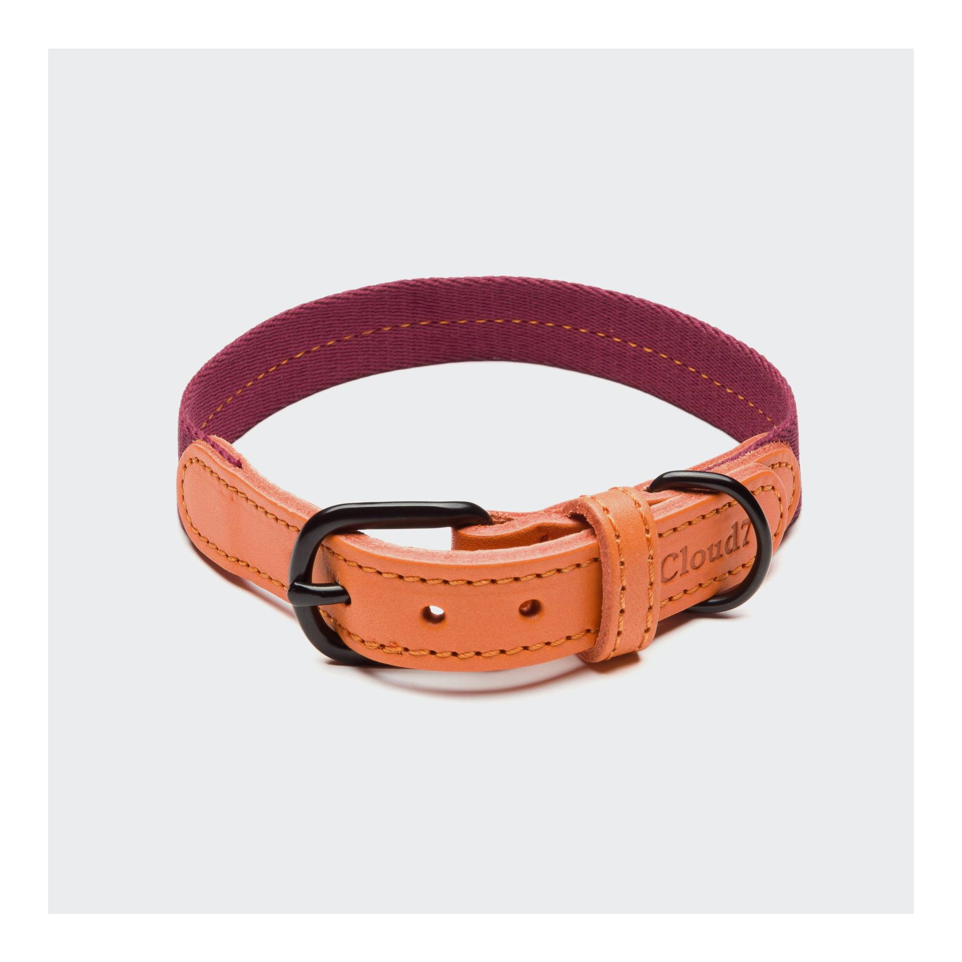 Image of Cloud 7 Hundehalsband Madeira - Papaya - bei myluckydog.ch