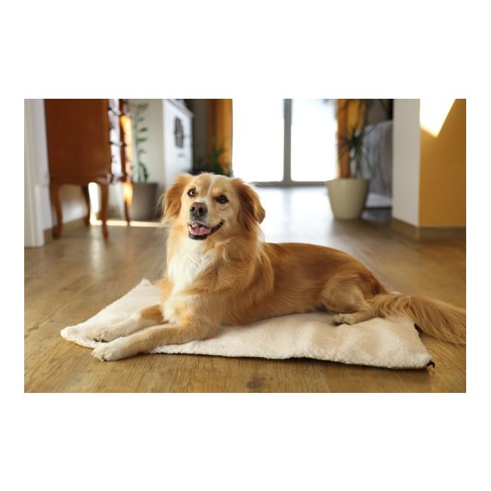 Image of Kerbl Selbstwärmendes Liegekissen - Beige - bei myluckydog.ch