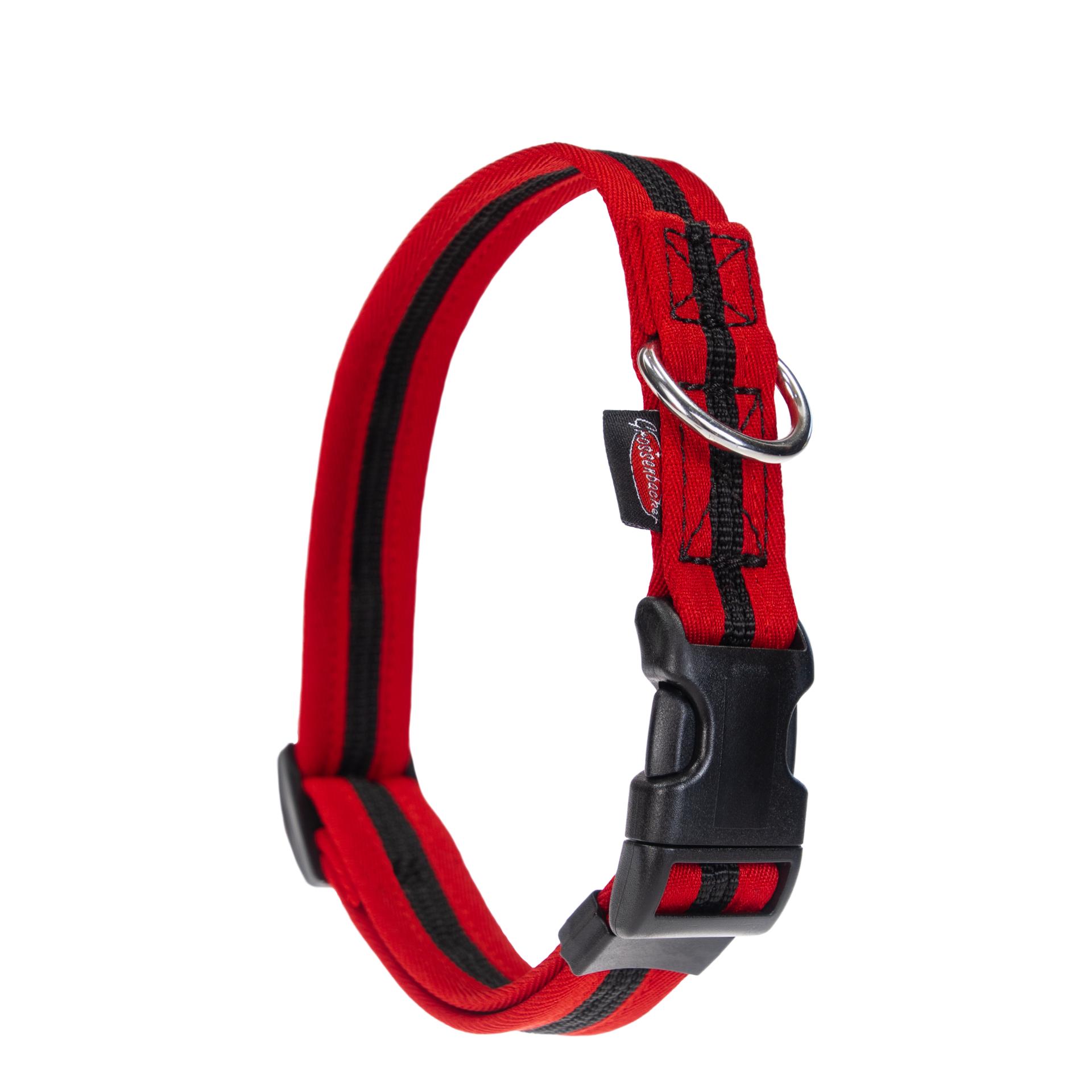 Image of Beat Grossenbacher Halsband eingefasst, direkt - Rot - bei myluckydog.ch