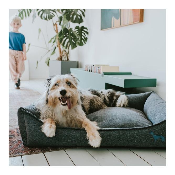 Hunter Dog Sofa Gent Antibac - Accessoire pour chien, Achat en ligne