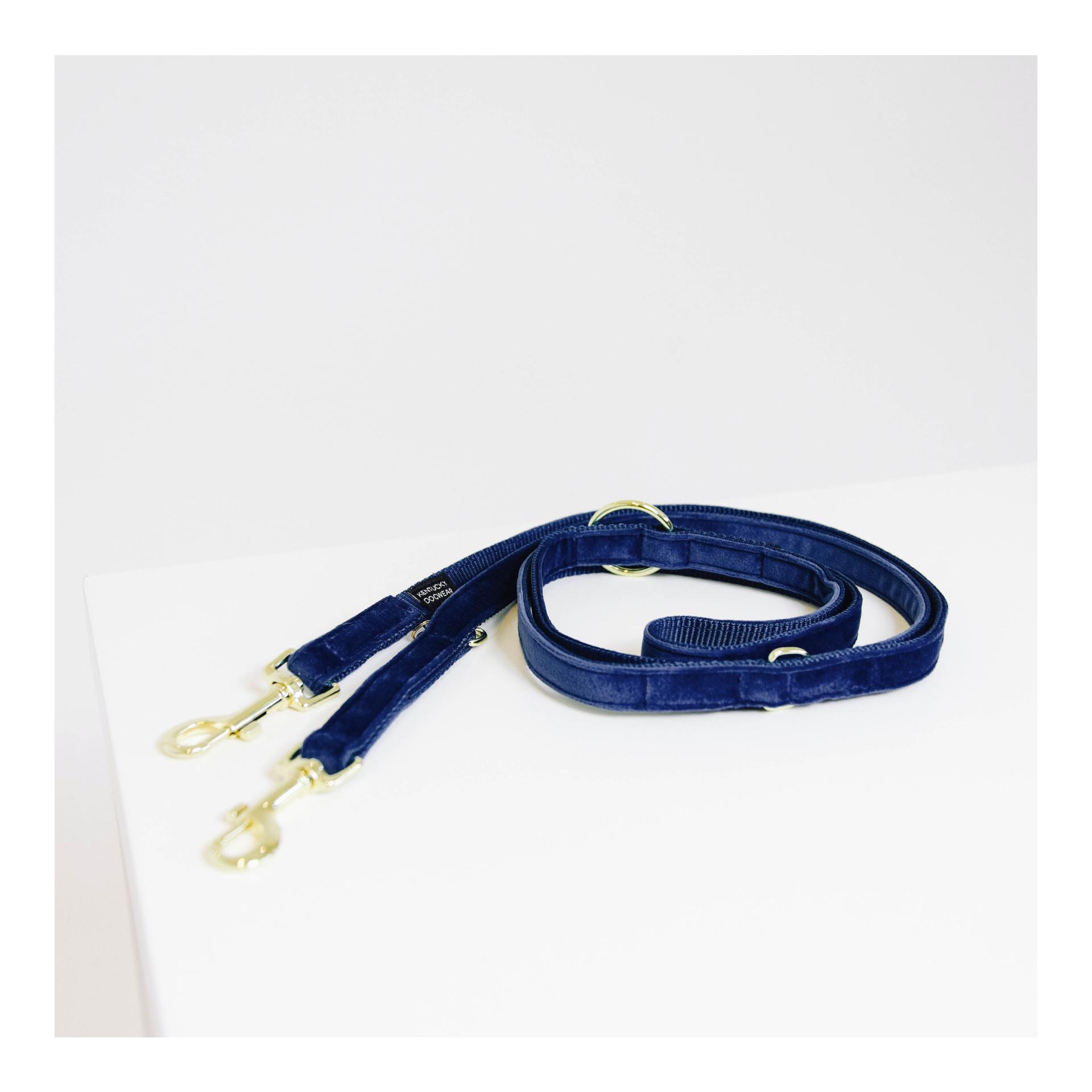 Image of Kentucky Dogwear Hundeleine Velvet - Navy - bei myluckydog.ch