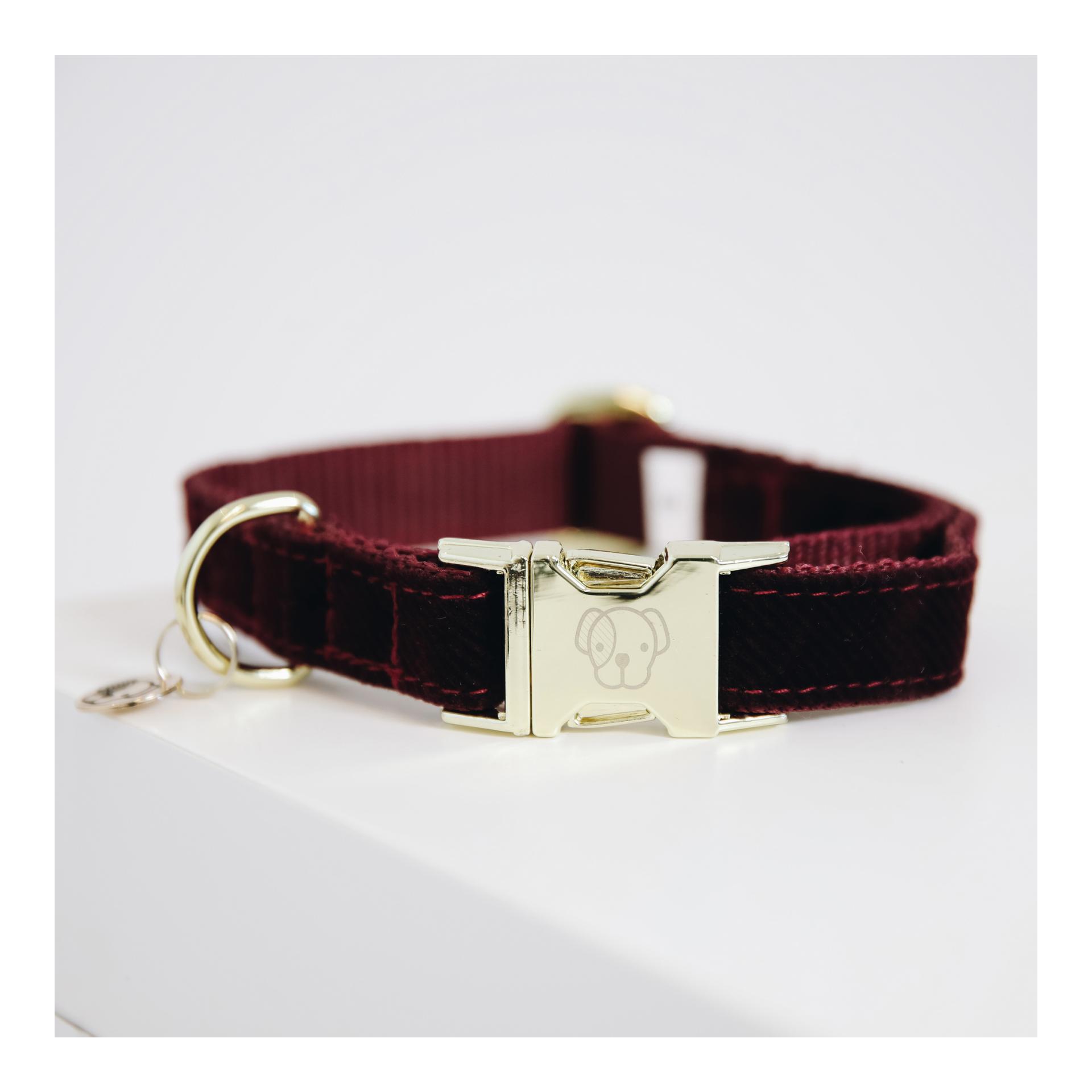 Image of Kentucky Dogwear Hundehalsband Corduroy - bordeaux bei myluckydog.ch