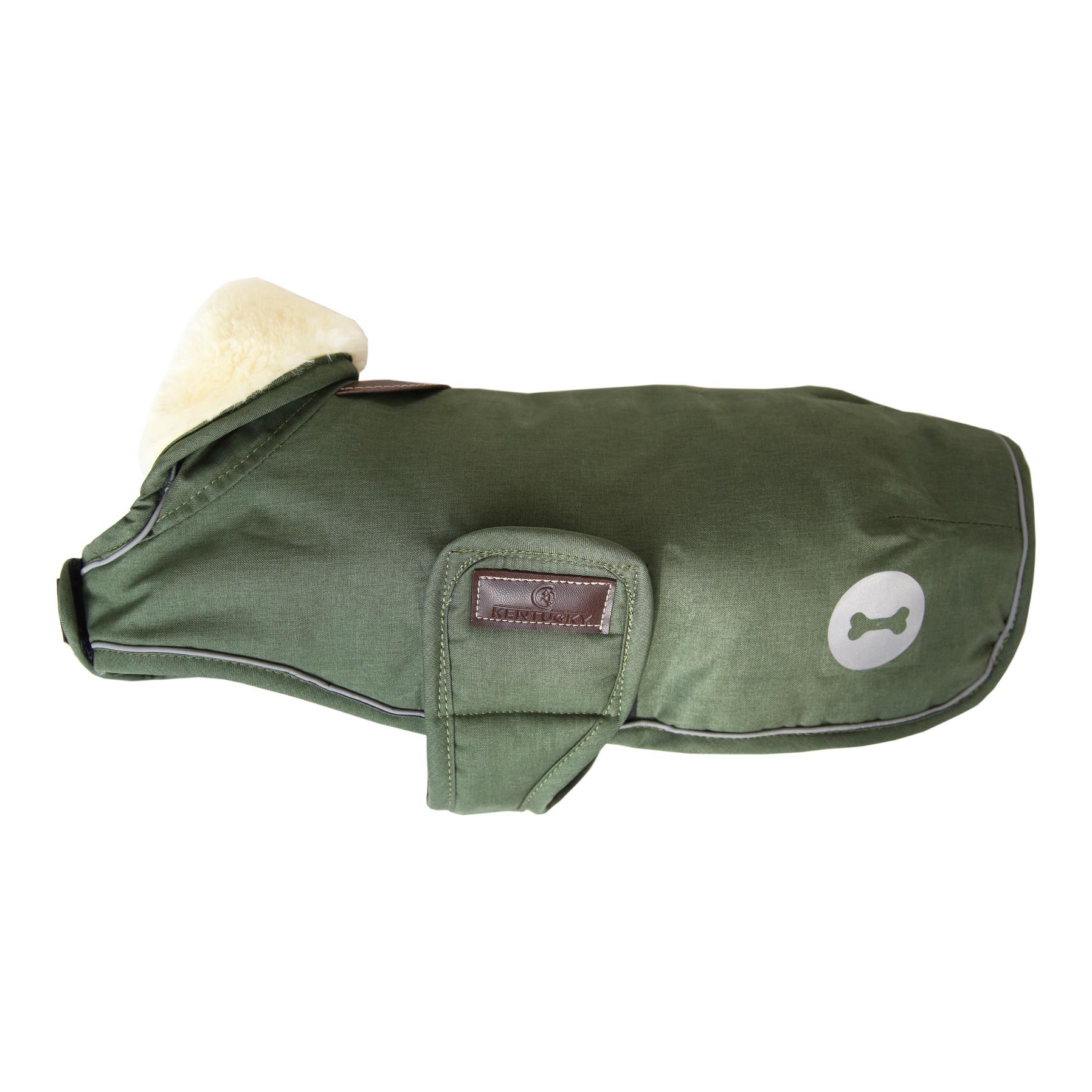 Image of Kentucky Dogwear Hundemantel wasserdicht 300g - olive green bei myluckydog.ch