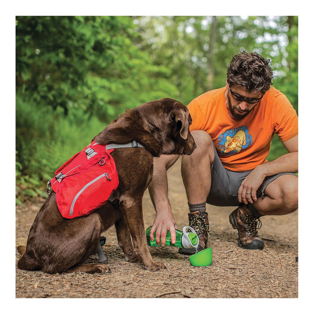 Baxter backpack outlet