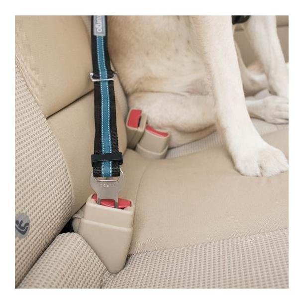 Kurgo Seatbelt Tether Sicherheitsgurt für Hunde - blau/schwarz