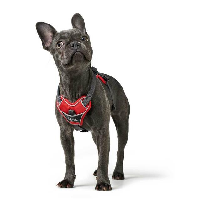 Harnais pour Chien Hunter Divo Rouge Gris Réfléchissant Taille XS (34-47  cm)