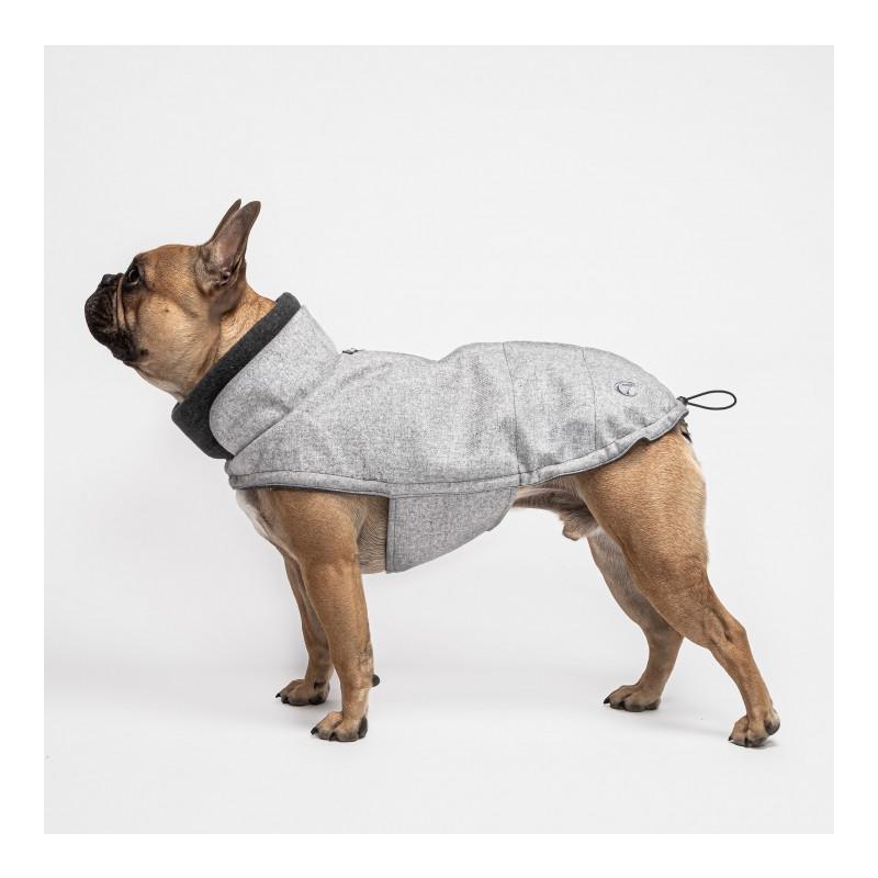 Manteau bouledogue français sale