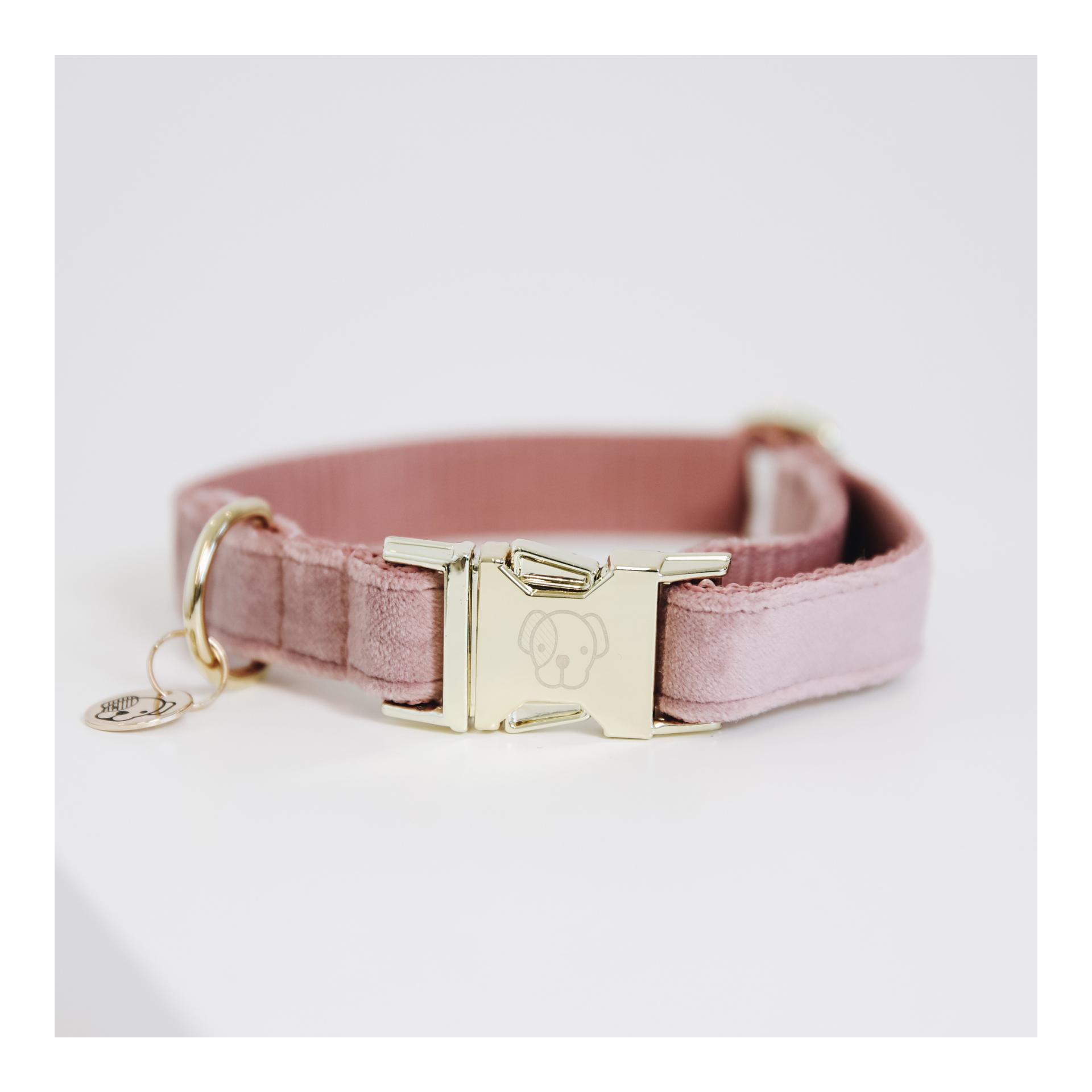 Image of Kentucky Dogwear Hundehalsband velvet - old rose bei myluckydog.ch