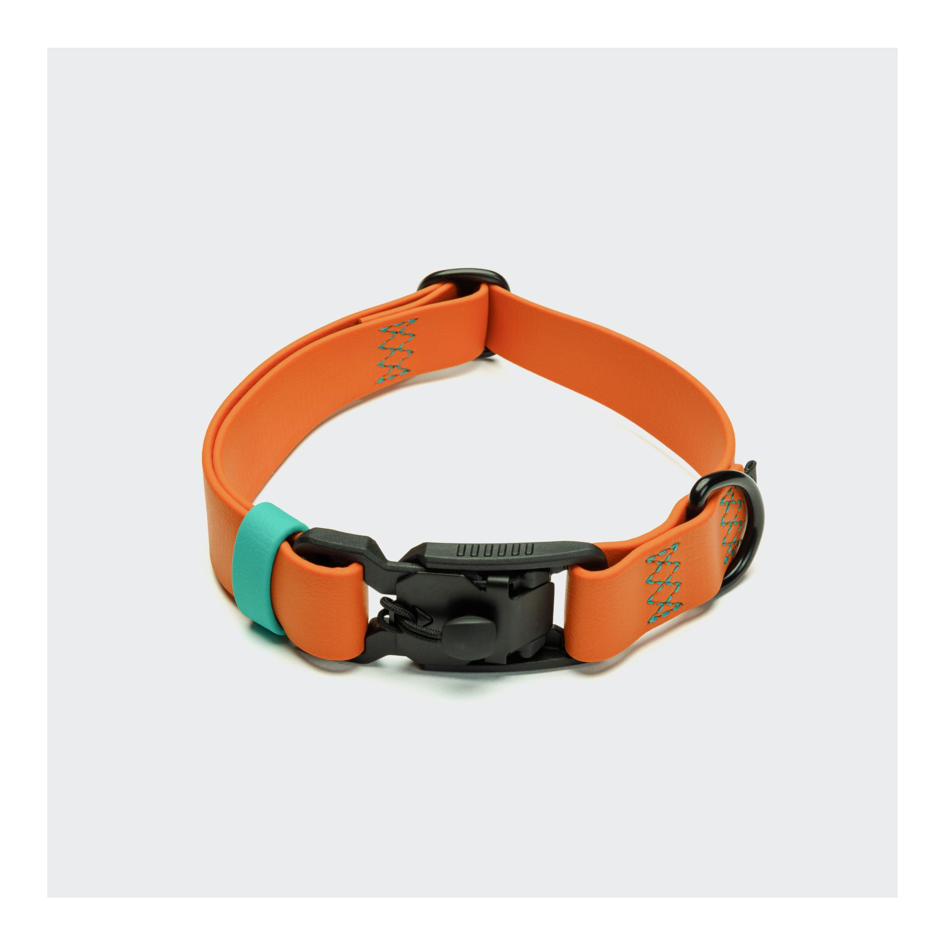 Image of Cloud 7 Hundehalsband Biothane Ipanema - Orange / Aqua - bei myluckydog.ch