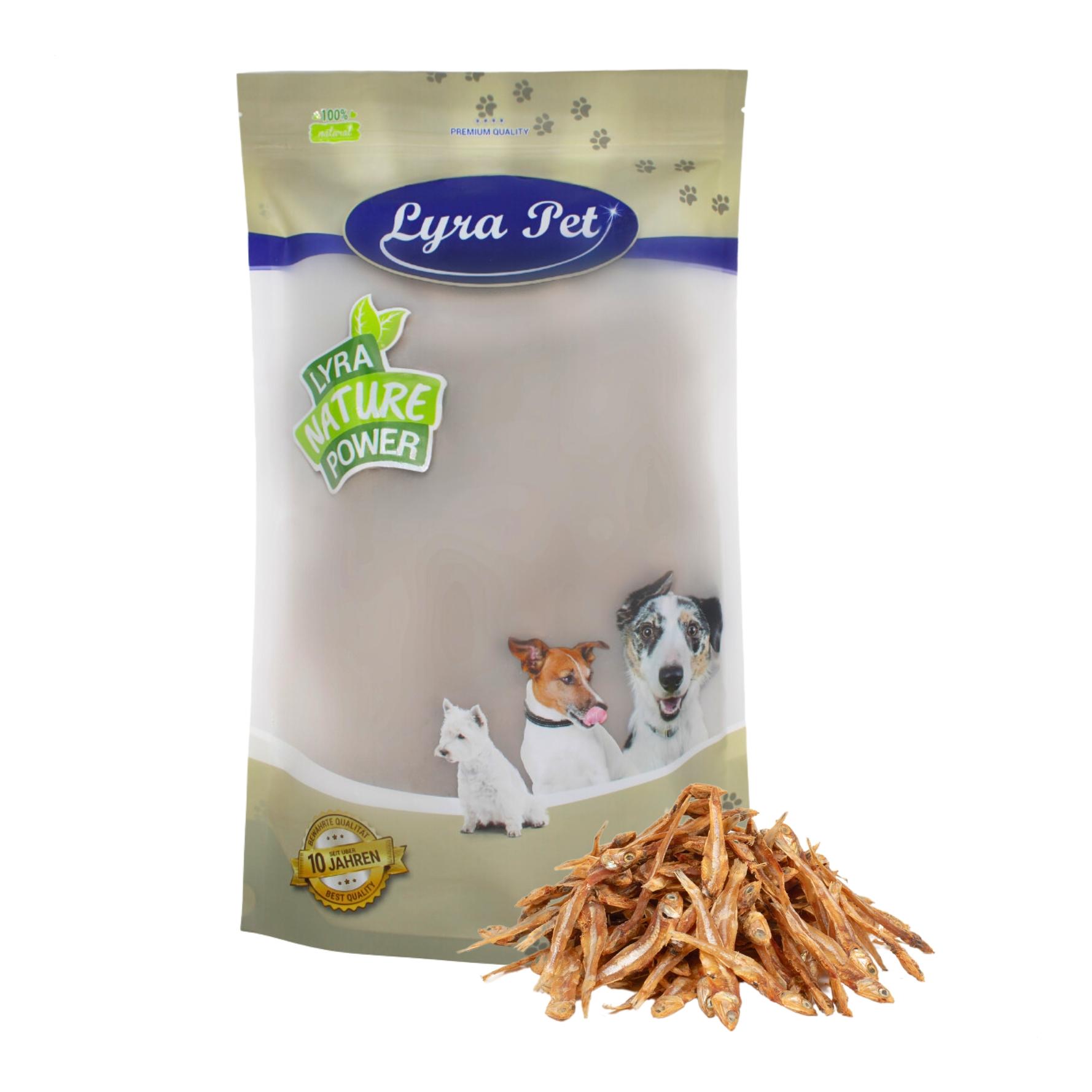 Image of Lyra Pet Kleine Fische bei myluckydog.ch