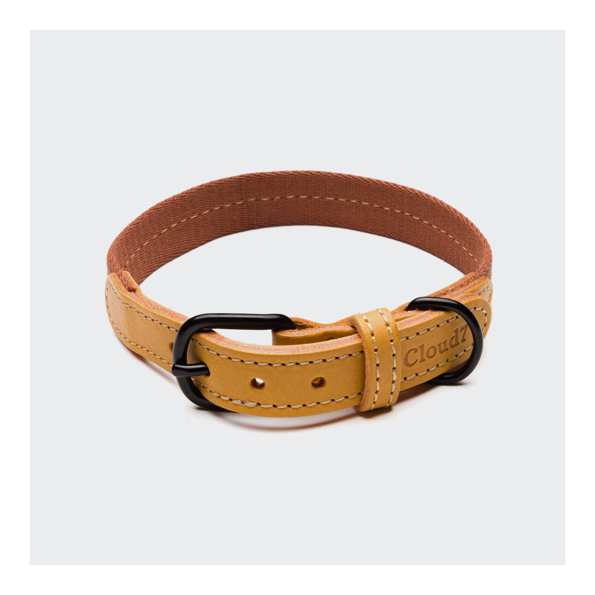 Image of Cloud 7 Hundehalsband Madeira - Ginger - bei myluckydog.ch