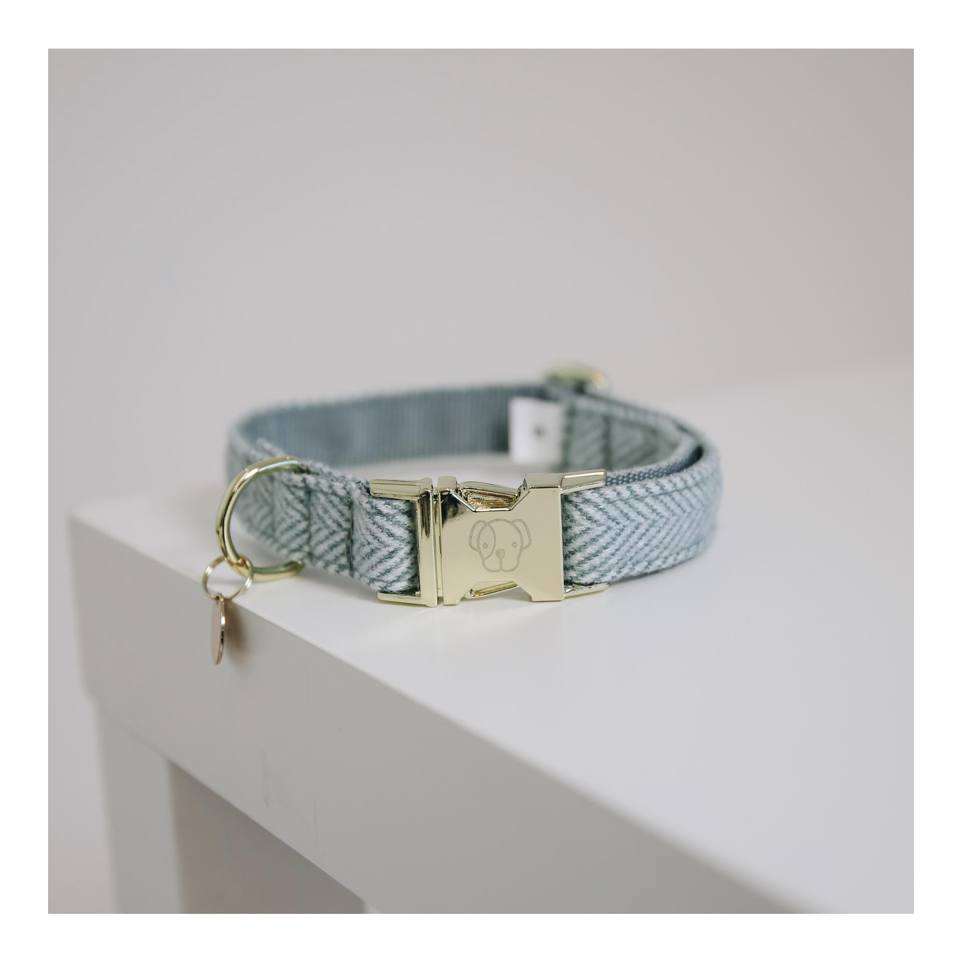 Image of Kentucky Dogwear Hundehalsband Wool - hellblau bei myluckydog.ch