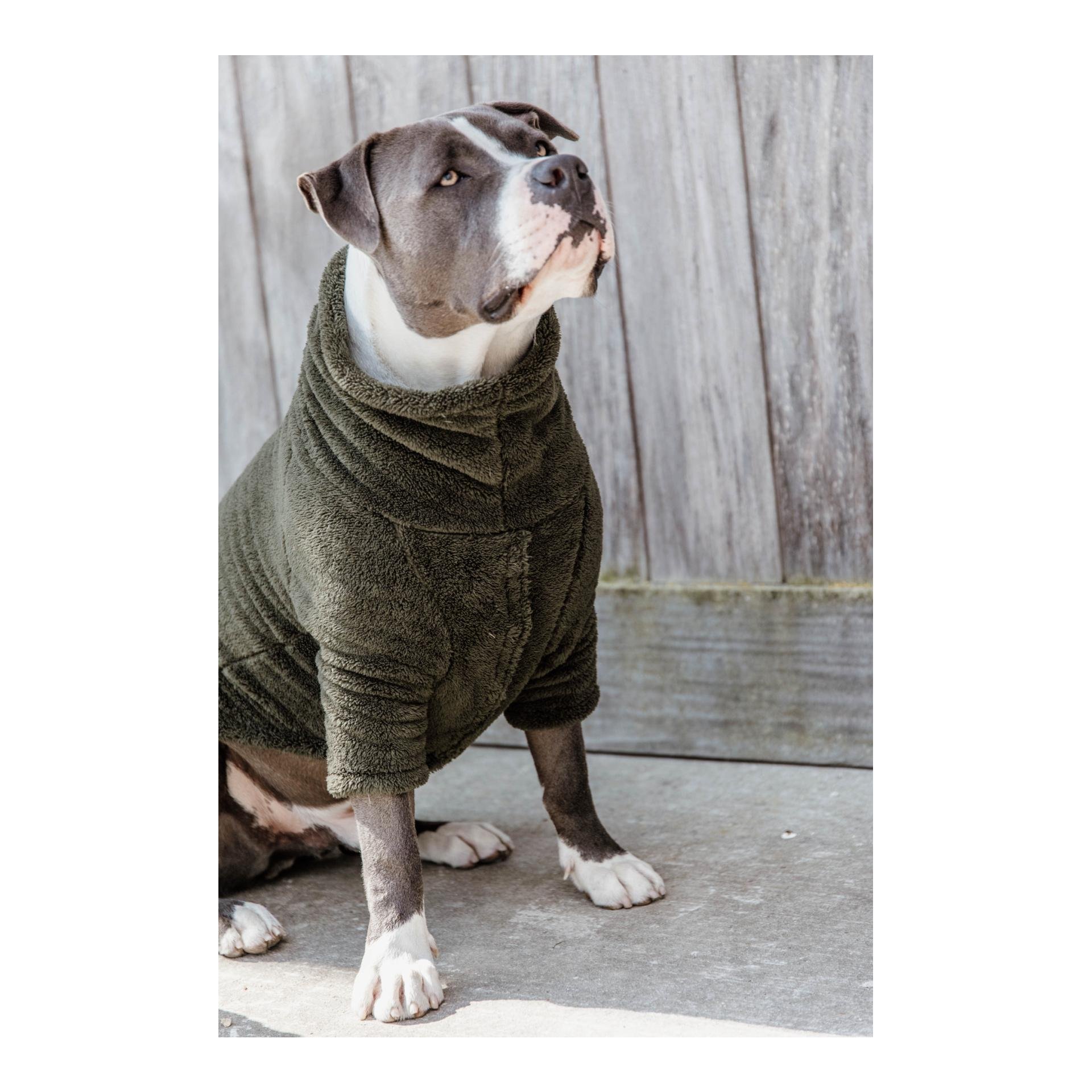Kentucky Dogwear Hundepullover Teddy Fleece - Pine Green
