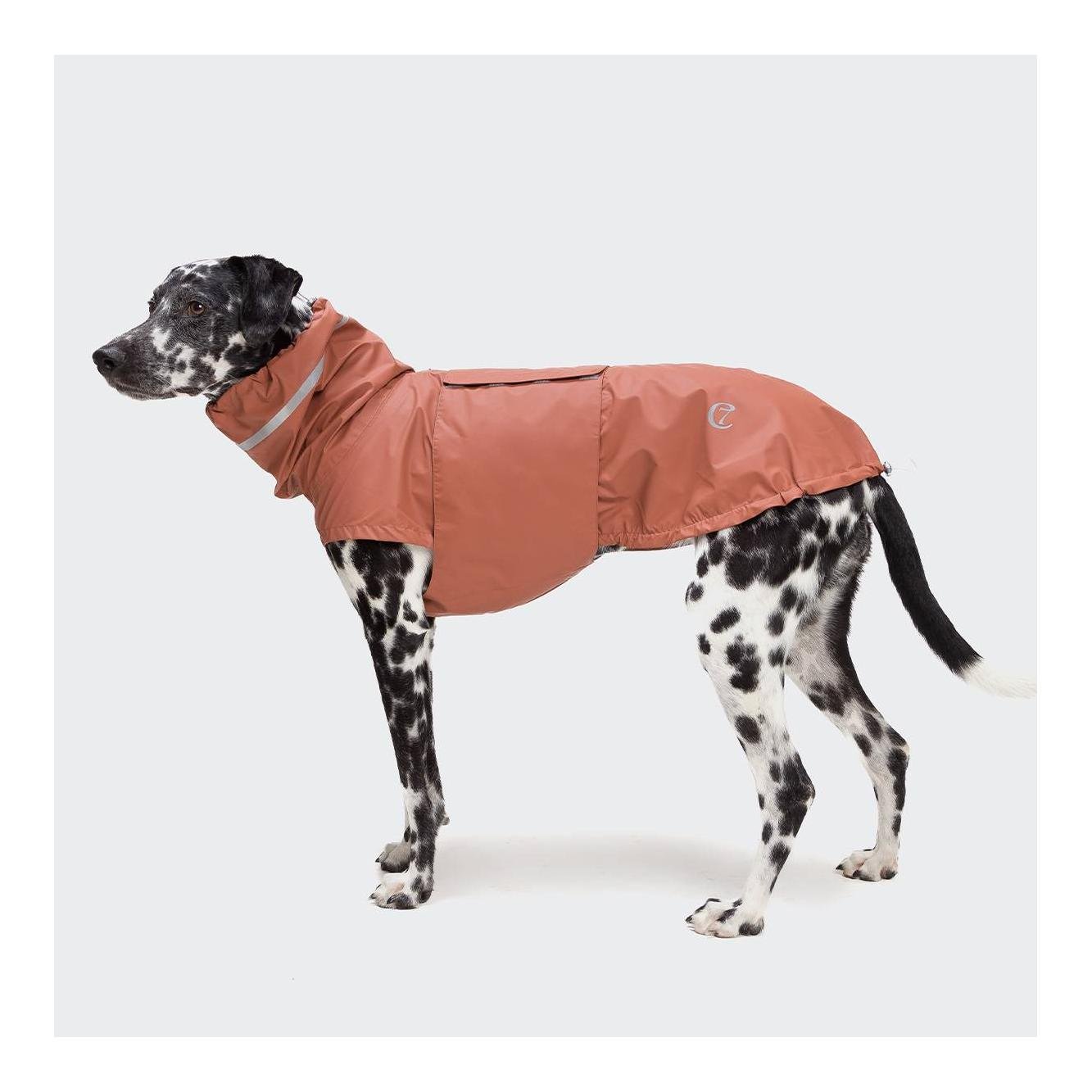 manteau pluie pour chien