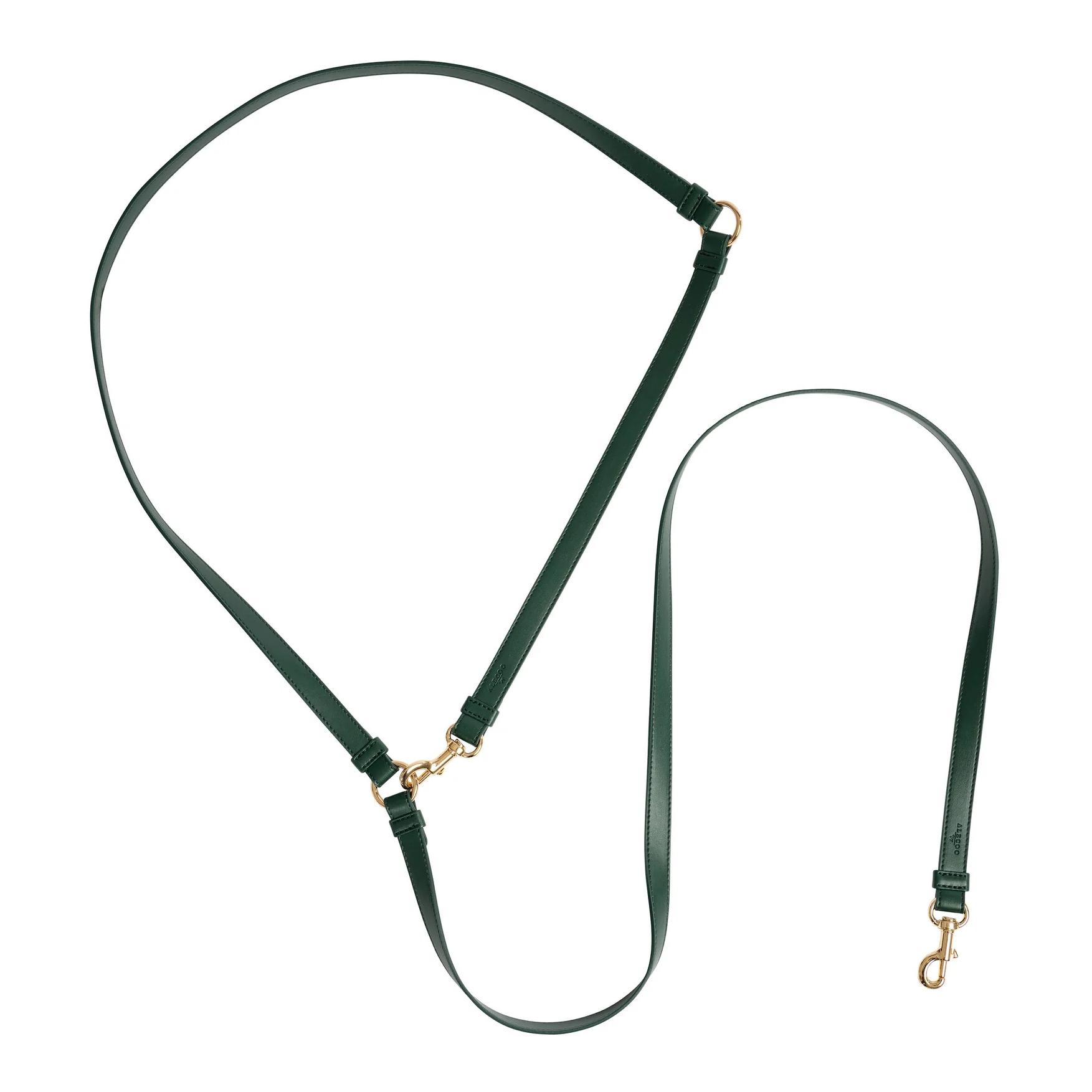 Image of ALECOO Hundeleine Classy - Dark Green-Gold - bei myluckydog.ch