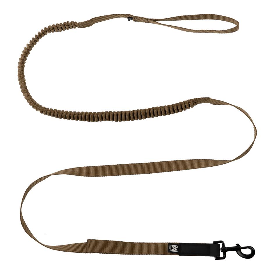 Working Dog buying Leash