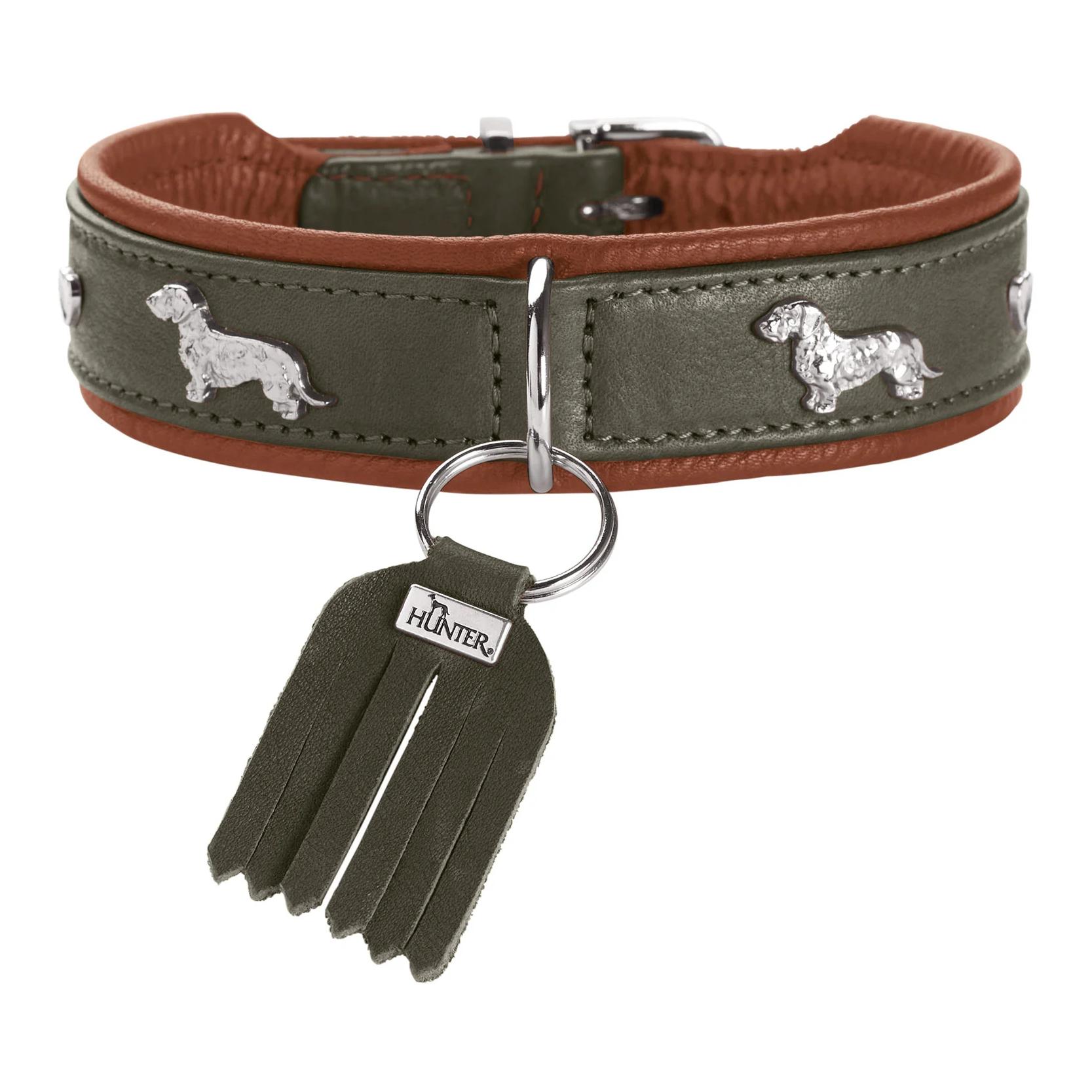 Image of Hunter Dackel Halsband München - Grün - bei myluckydog.ch