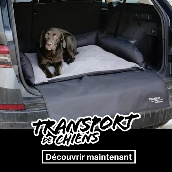 TDR - Siège auto chien - Voiture panier pliable pour chien - Caisse de voiture  pour
