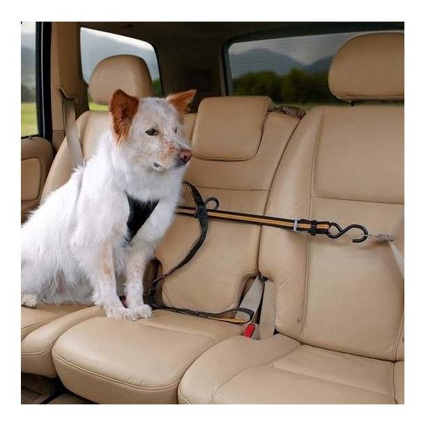 Sangle chien de sécurité voiture Zip Line Kurgo – Niche à chien