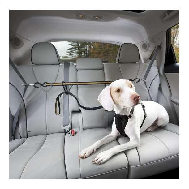 Sangle chien de sécurité voiture Zip Line Kurgo – Niche à chien