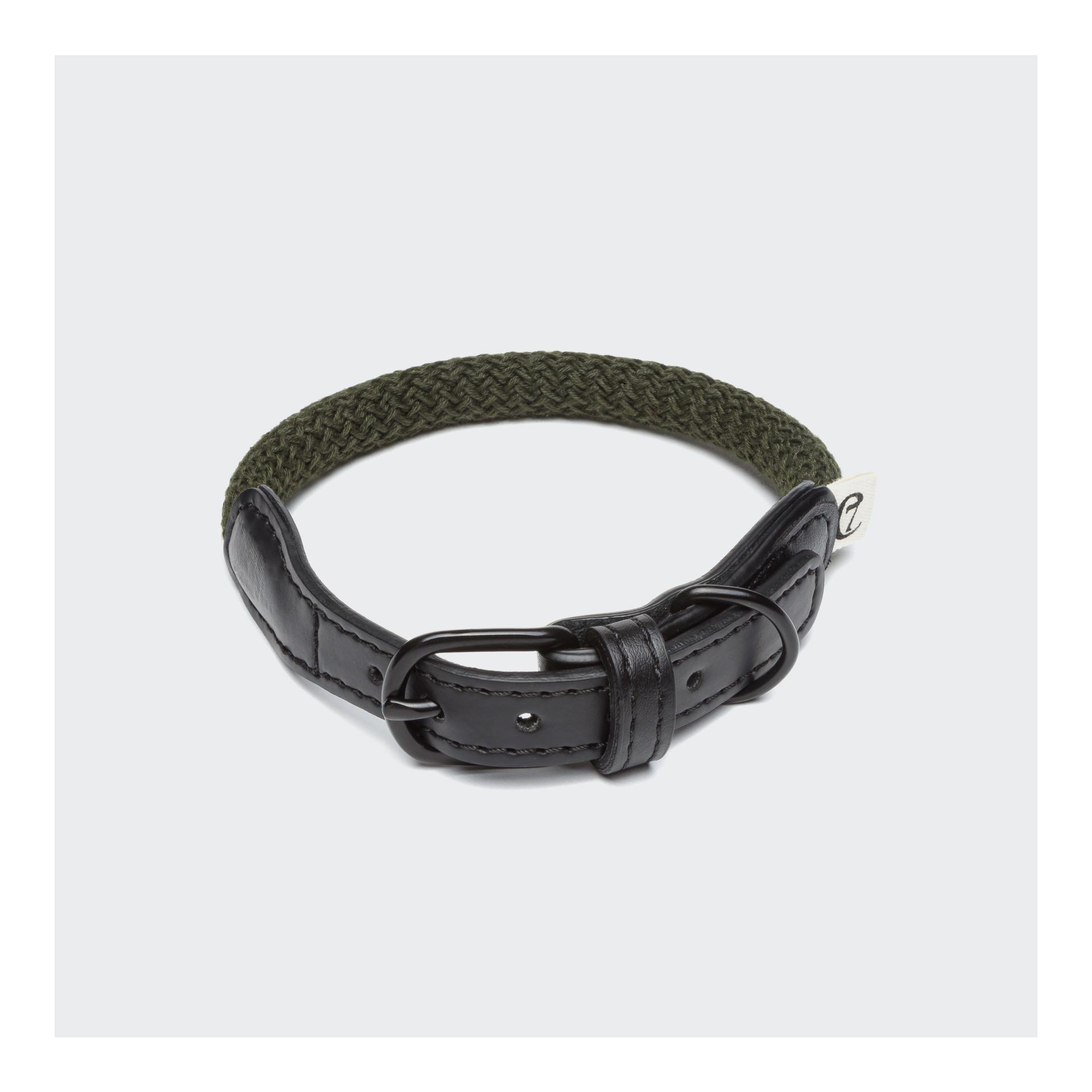 Image of Cloud 7 Hundehalsband Mauerpark - Olive - bei myluckydog.ch