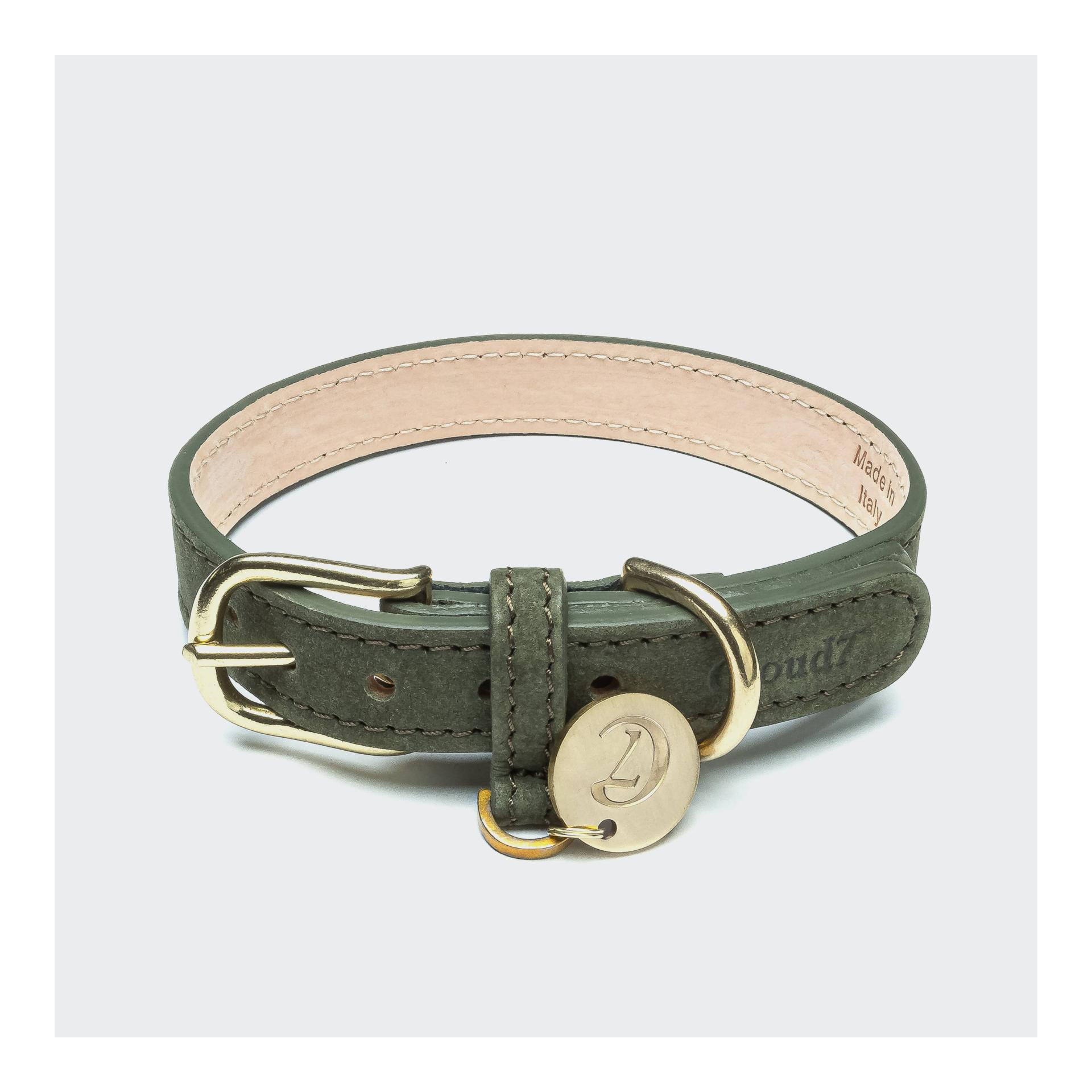 Image of Cloud 7 Hundehalsband Tiergarten - Moss bei myluckydog.ch