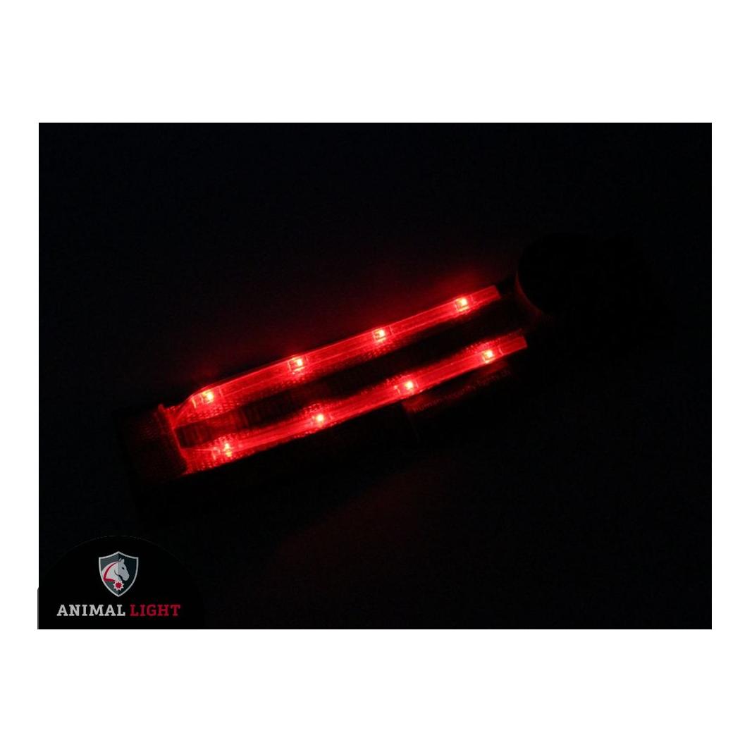 Image of Animal Light Leucht - Hundegeschirr "Flex" - rot bei myluckydog.ch