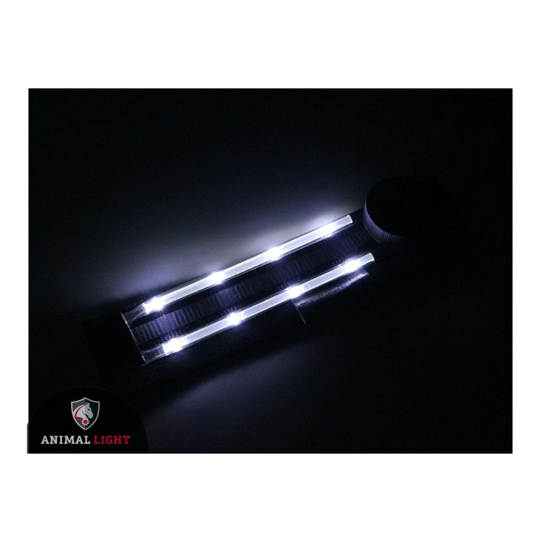 Image of Animal Light Leucht - Hundegeschirr "Flex" - weiss bei myluckydog.ch