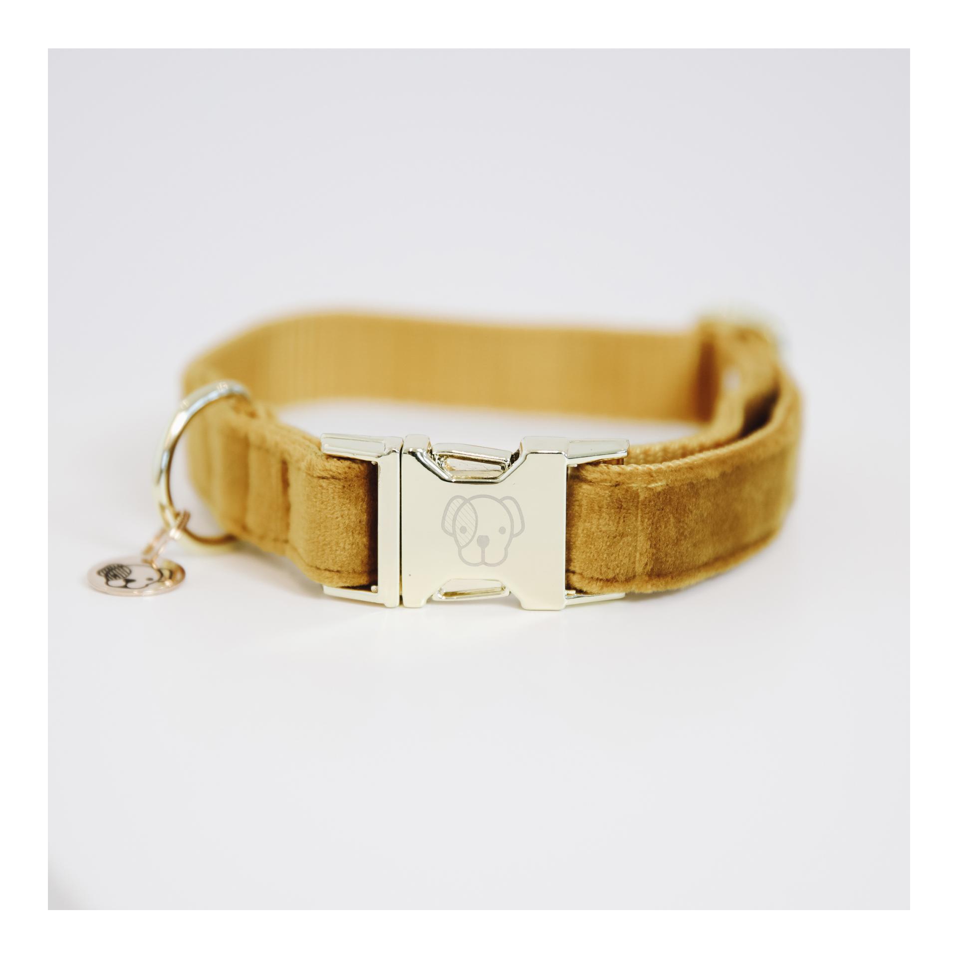 Image of Kentucky Dogwear Hundehalsband Velvet - mustard bei myluckydog.ch