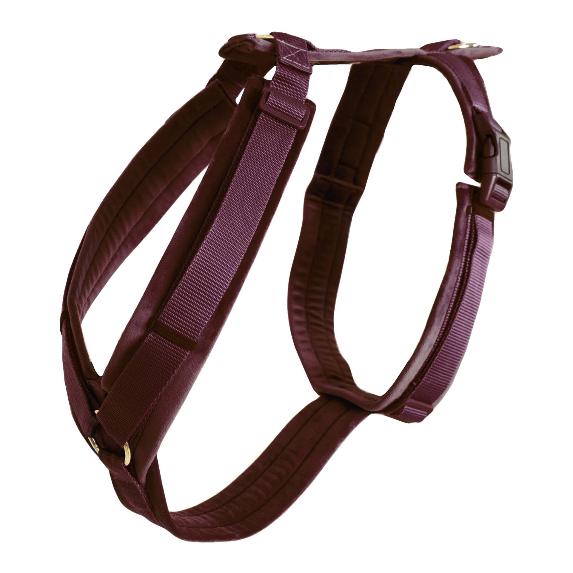 Image of Kentucky Dogwear Hundegeschirr Active Velvet - Bordeaux - bei myluckydog.ch