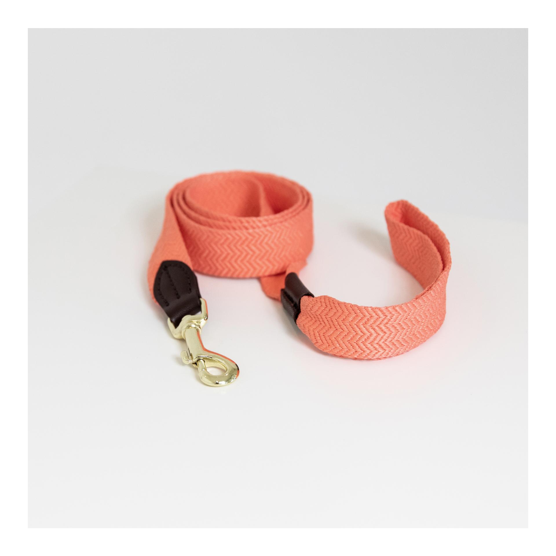 Image of Kentucky Dogwear Hundeleine Jacquard - neon orange bei myluckydog.ch